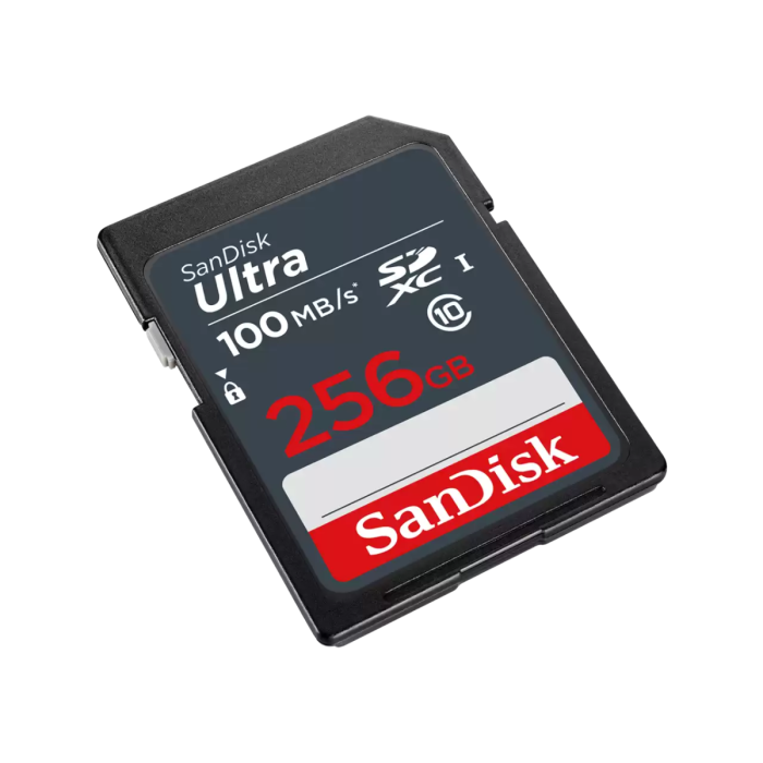 sandisk-ultra-lite-uhs-i-sd-256gb-angled_png.wdthumb.1280.1280_webp