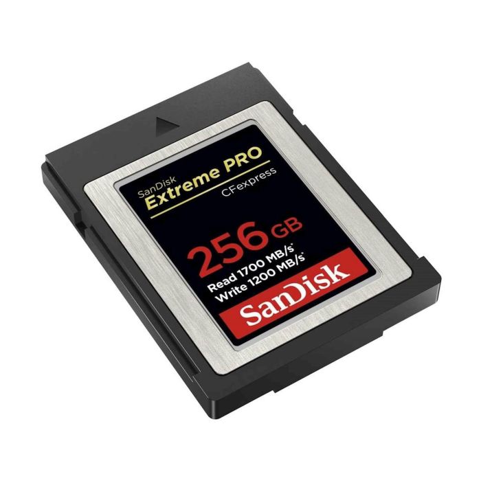 sdcfe-256g-gn4nn-1