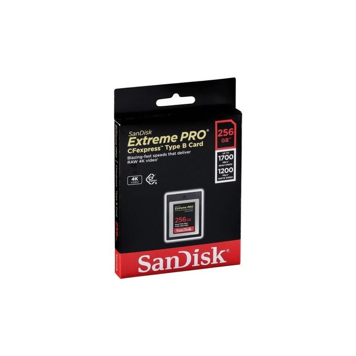 sdcfe-256g-gn4nn-2