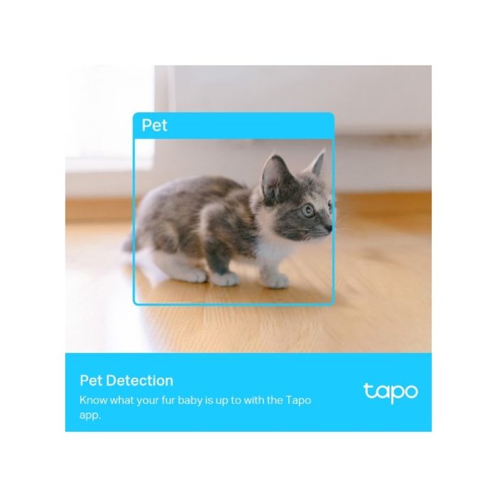 tapo_c225-7_1